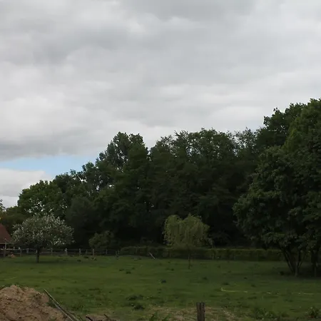 Peppelmate Nocleg ze śniadaniem 4*