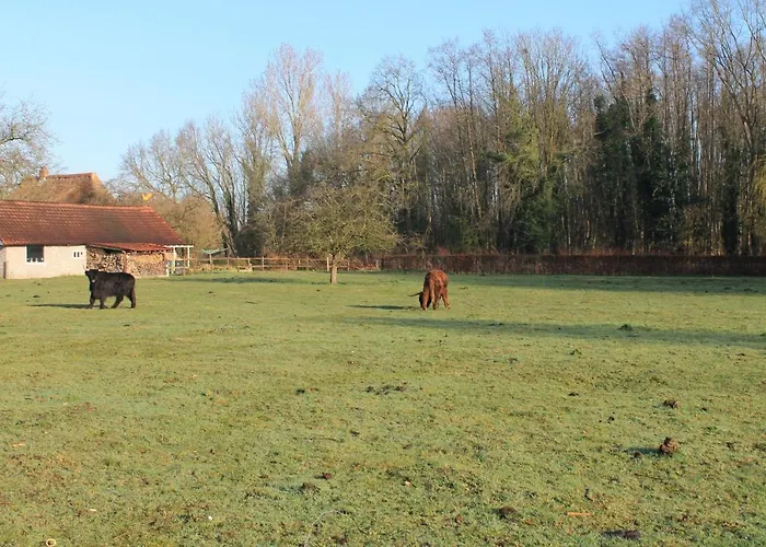 Bed & Breakfast Peppelmate