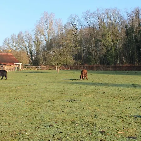 Bed and breakfast Peppelmate