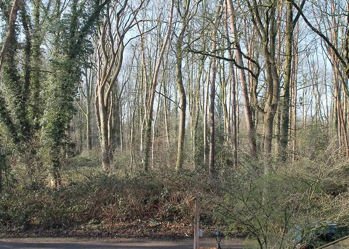 Peppelmate 4* Doetinchem